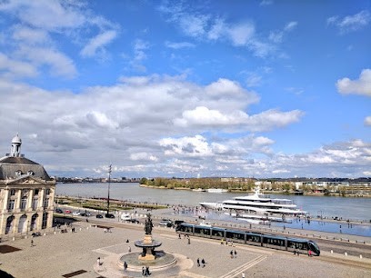 OTTA, Agence de Marketing Digital à Bordeaux