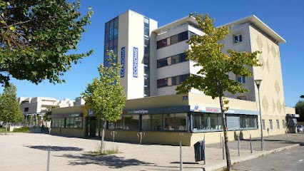 Synergie Marketing Group, Agence de Marketing à Avignon