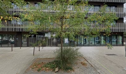 Terres Nouvelles Interactives, Agence de Marketing Digital à Nantes