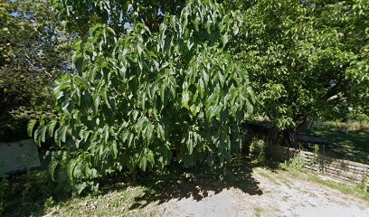 Comunicat, Agence de Marketing Digital à Aulnois-en-Perthois