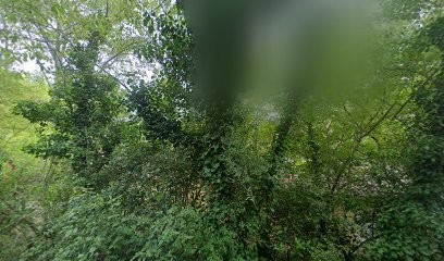 Easy-IT, Agence de Marketing Digital à Montferrier-sur-Lez