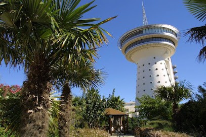 Multimedia Sandoz Trading, Agence de Marketing Digital à Palavas-les-Flots