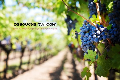 Agence Débouche Ta Com' | Communication Et Marketing | Vin Et Oenotourisme | Création De Site Web, Agence de Marketing à Saint-Étienne-la-Varenne