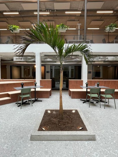 M13h, Agence de Marketing à Paris 10