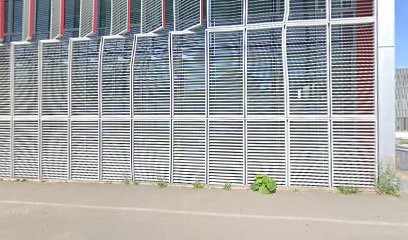 RunDigital - Consultant Digital, Agence de Marketing Digital à La Roche-sur-Yon