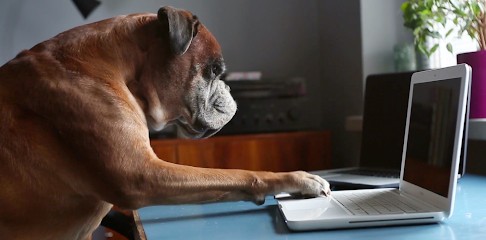 ORA Website & Marketing, Agence de Marketing Digital à Barentin