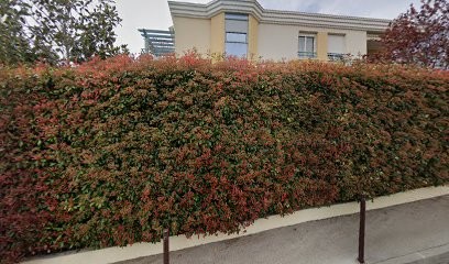 Artisan En Ligne, Agence de Marketing Digital à Saint-Laurent-du-Var