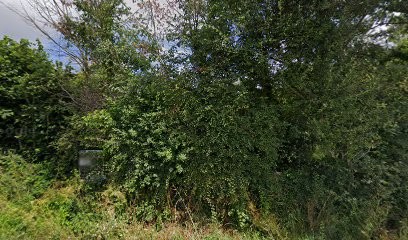 Consultant Web Vendée - David Houdusse, Agence de Marketing à Saint-Urbain