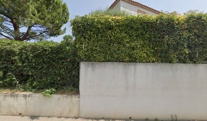 La Cigale Digitale, Agence de Marketing Digital à Jonquières-Saint-Vincent