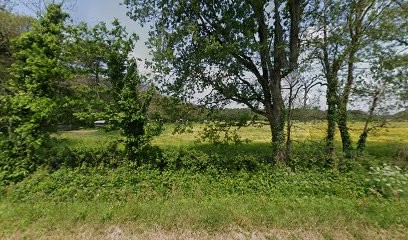 Lylyla UGC, Agence de Marketing Digital à Guérande