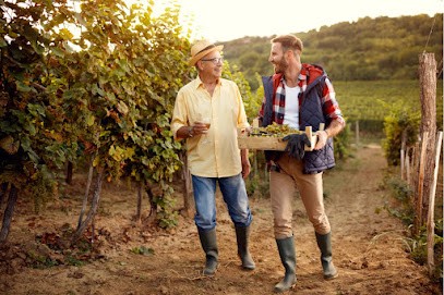 My Food Story, Agence de Marketing Digital à Marseille 01