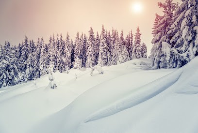 Simone à la Montagne, Agence de Marketing à La Clusaz