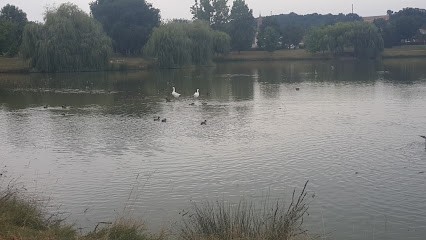 POINT COMM, Agence de Marketing Digital à Sainte-Foy-d'Aigrefeuille