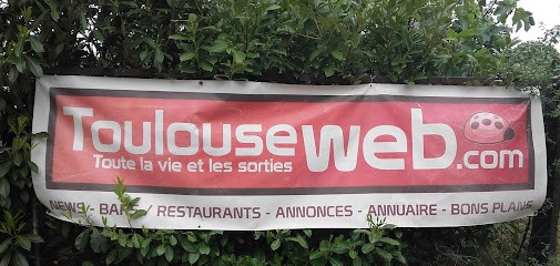 Toulouse Web SN, Agence de Marketing Digital à Cornebarrieu