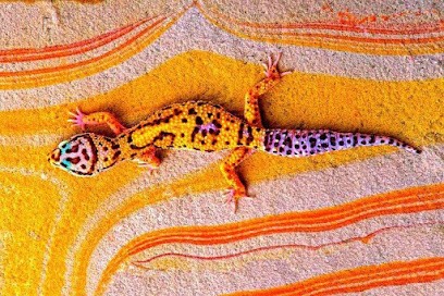 TOREFIC.CC, Agence de Marketing à Rabastens