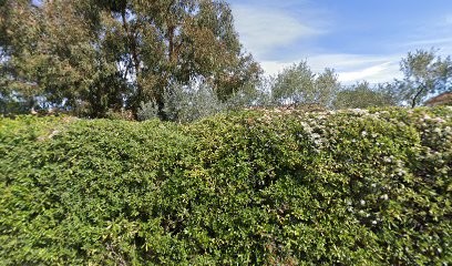 Black Wolf Communication, Agence de Marketing à Pierrefeu-du-Var