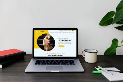 Tokiz Digital - Création de Sites Internet et Référencement, Agence de Marketing Digital à Nozay