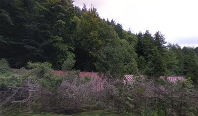 Nmarketingdirect67, Agence de Marketing Digital à Barr