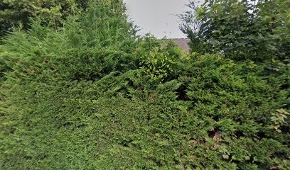 ProNeoConseil, Agence de Marketing Digital à Villerville