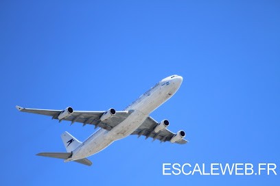 Escaleweb agence SEO Alsace, Agence de Marketing Digital à Gertwiller