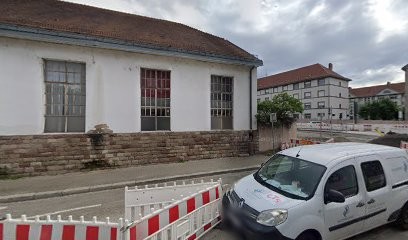 Agence SEO Strasbourg - Naturaref, Agence de Marketing Digital à Strasbourg