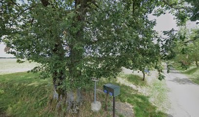 Madame Spaghetti Assistante Virtuelle, Agence de Marketing Digital à Cambernard