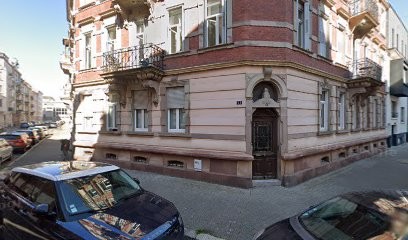 David Puls, Agence de Marketing Digital à Strasbourg