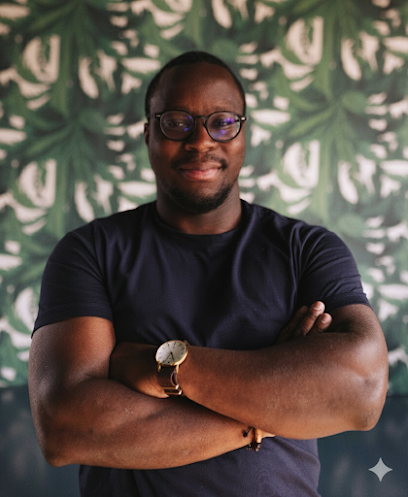 Loïc Johnson - Consultant Seo Freelance, Service De Marketing Internet à Vendôme