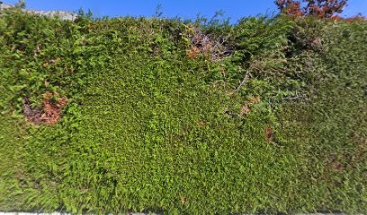 M&A.Agency, Agence de Marketing à Veyrier-du-Lac