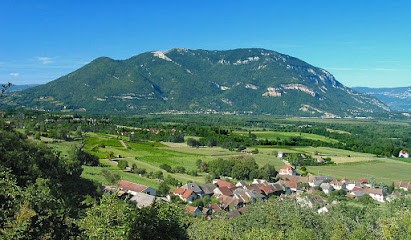 QWEB.ECO - Agence Webmarketing Bugey, Agence de Marketing Digital à Ruffieu