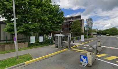 sembuddy, Agence de Marketing Digital à Évry