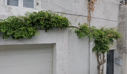 DCREATION, Agence de Marketing Digital à Vivonne