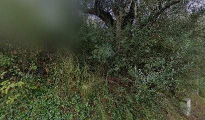 makerspad, Agence de Marketing Digital à La Colle-sur-Loup