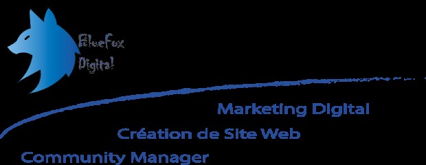 Bluefox digital, Agence de Marketing à Coursac