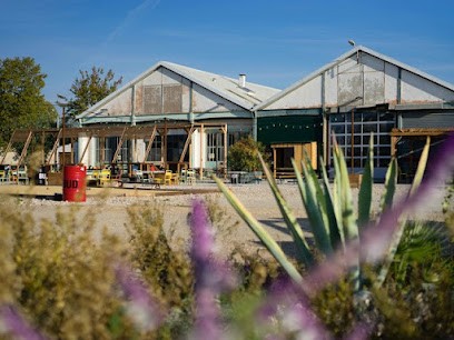 Yelloé I Accompagnement et formation en communication et événementiel by Chloé Briquet, Agence de Marketing à Montpellier