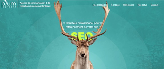 Plum Concept, Agence de Marketing à Tresses
