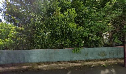 Racine Digital, Agence de Marketing à Villiers-sur-Marne