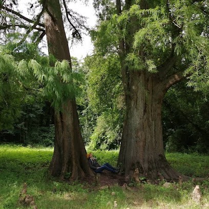 Clotilde ROLLAND Rédaction web santé, bien-être et monde végétal, Agence de Marketing Digital à Mouzeil
