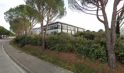 Buzzlike, Agence de Marketing à Rousset