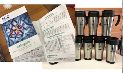 MITOTIM INGENIO, Agence de Marketing Digital aux Garennes sur Loire