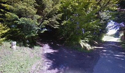 ZOOM Annonces, Agence de Marketing Digital au Val-d'Ajol