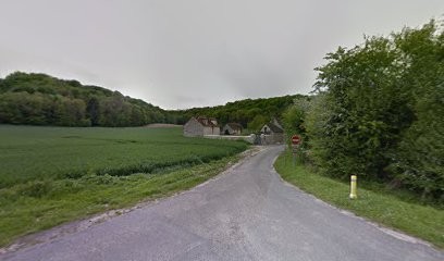 Mango Raccoon, Agence de Marketing à Pontpoint