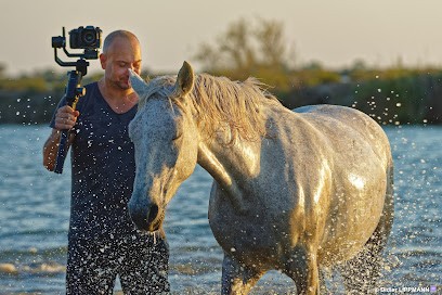 szemotion, Agence de Marketing Digital à La Grande-Motte