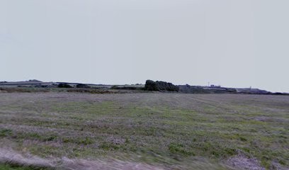 Eucomis, Agence de Marketing Digital au Conquet