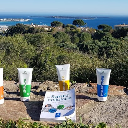 Réseau geoarmonie VDI Stéphane, Agence de Marketing Digital à Labaroche