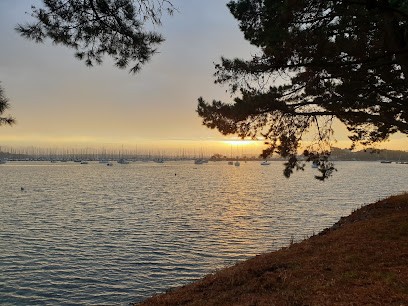 Maxxcom Internet, Agence de Marketing Digital à Larmor-Plage