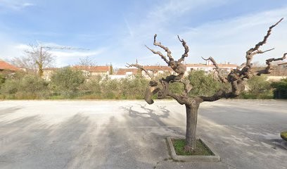 EASY FORMATION, Agence de Marketing à Saint-Cyr-sur-Mer