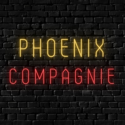 Phoenix Compagnie, Agence de Marketing Digital à Metz