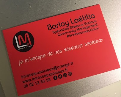 LM RESEAUX SOCIAUX, Agence de Marketing Digital à Marck
