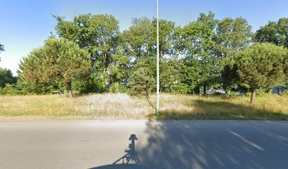 Catalogueur, Agence de Marketing Digital à Meucon